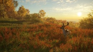 theHunter: Call of the Wild