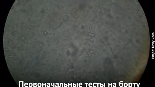 На обшивке МКС нашли "прилетевшие из космоса" живые бактерии смотреть онлайн