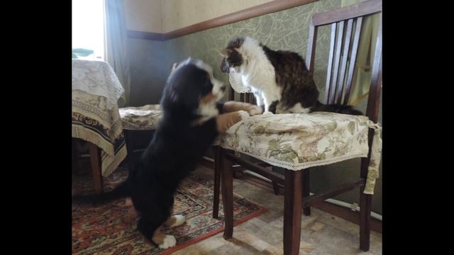 Элгранд Берни Урвин смотреть онлайн