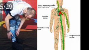 3НФ Лимфодренажный массаж самостоятельно за 5 минут. Экономим на массажистах.