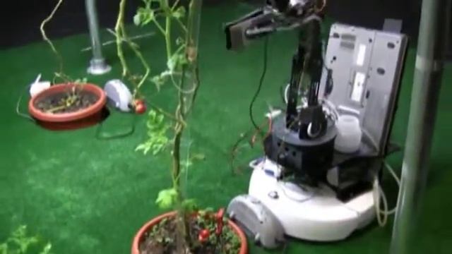 Роботы научились выращивать помидоры смотреть онлайн