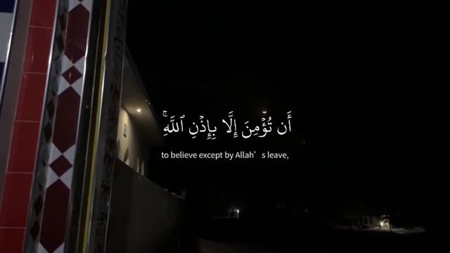 The Seed of the Sacred Fig | Dâne-ye anjîr-e ma'âbed (2024). смотреть онлайн