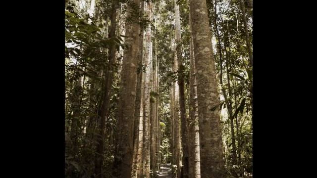 Barber: Adagio for Strings ~ William Buhidar, conductor смотреть онлайн