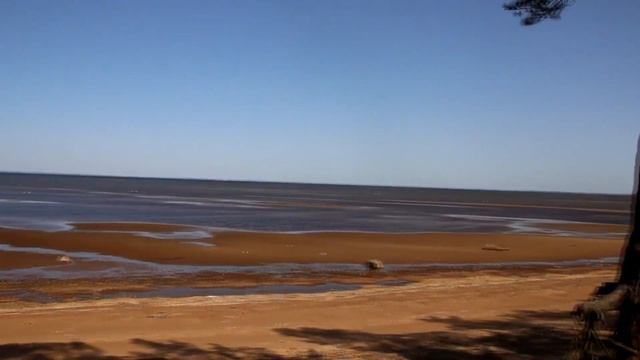 Волонтерская уборка в Большой Ижоре. Археологический клуб на Тропе Южного берега смотреть онлайн