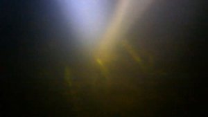 НОЧНАЯ ПОДВОДНАЯ ОХОТА В КОРЯГАХ НА СОМА