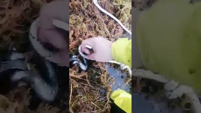 Озеро Яндри 27 октября 2022 г. смотреть онлайн