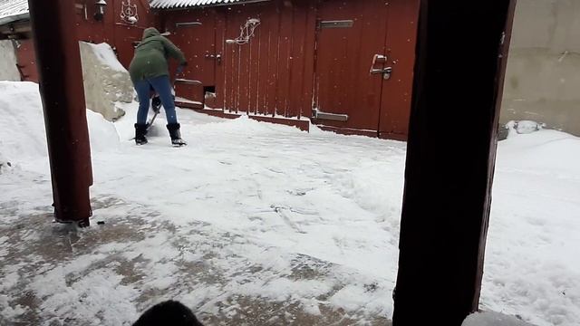 Природа чудит...🙈🤪Подарок к дню рождения!!!❄🎁 #влогдомохозяйки #vlogvideo  #природныекатаклизмы