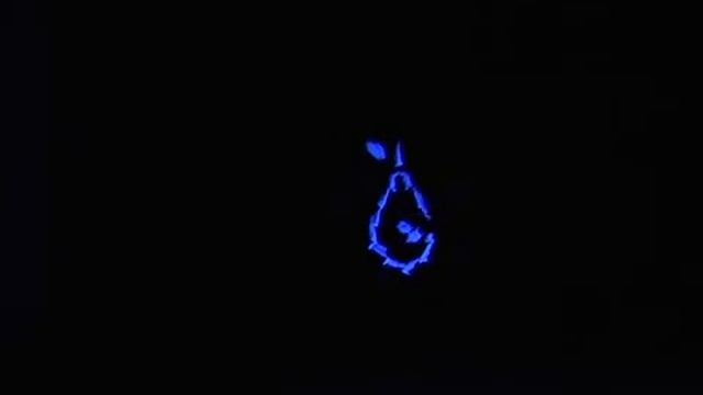 Я такое дерево.flv