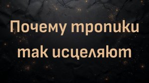 Почему тропики так исцеляют. Самые здоровые страны, магнетизм (Сара Пью)