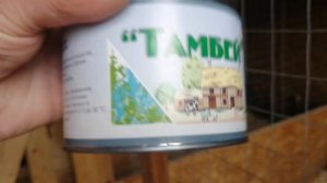 Генеральная уборка в курятнике Шашка Вихрь и Тамбей.