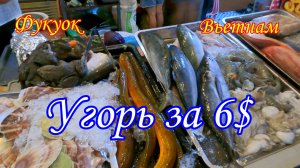 Фукуок/Вьетнам/Угорь за 6 $