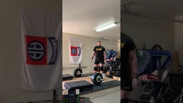 Rogue Bella Complex смотреть онлайн