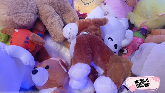 В АППАРАТЕ НОВАЯ КРАСИВАЯ СОБАЧКА 🐕, КАК ЕЁ ПОЙМАТЬ?+ зритель-обаяшка моей игры🥰