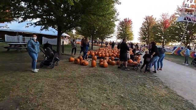 ТЫКВЕННАЯ ФЕРМА! УКРАСИЛА ДОМ НА ХОЛУИН!! смотреть онлайн