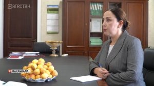 Массовая уборка абрикосов. Интервью с Шарипом Шариповым