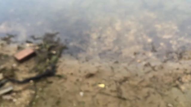 Мы на природе новые пончики купаемся и отдыхаем!!!