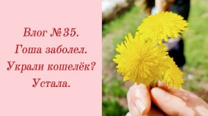 Влог №35. Гоша заболел/ Украли кошелёк?/ Устала. 17-30 апреля 2024.