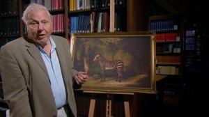 Курьёзы природного мира 1 сезон 5 серия «Видя узор» (документальный сериал, 2013)