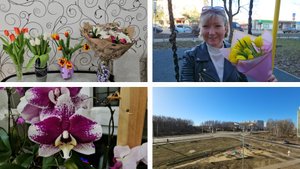 08.03.2025 г Международный женский день/ День со мной