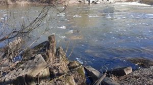 Открываем летний сезон 2025. Проехали на ниве к нашему любимому водоему.