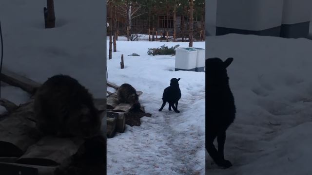 8 апреля 2022 г. смотреть онлайн