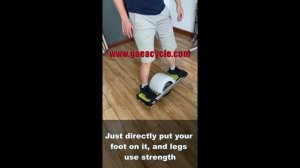 Gaea One Wheel Electric Scooter