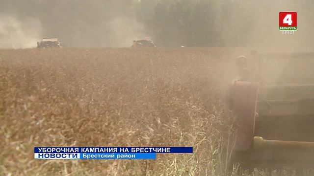 УБОРОЧНАЯ КАМПАНИЯ НА БРЕСТЧИНЕ смотреть онлайн