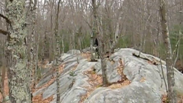 kona unit  the ledges