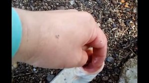 Рыбалка на реке Прут( 25.06.2017 )