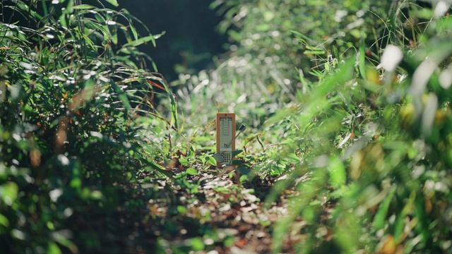 Metronome Music with The Forest Like a Ghibli Film - For Relaxing, Meditation and Sleep