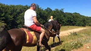 Крым 2015. Ай-петринский склон)) красота