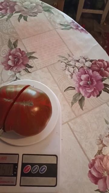 Томат " Полосатый шоколад".