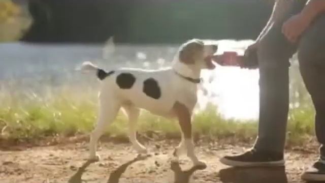 Coca-Cola смотреть онлайн