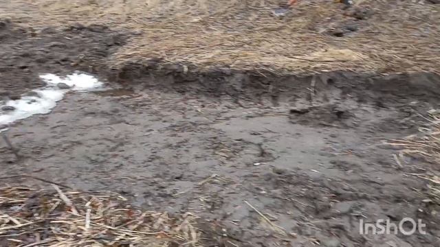 УМЕЮТ ЖЕ ЛЮДИ КОПАТЬ смотреть онлайн