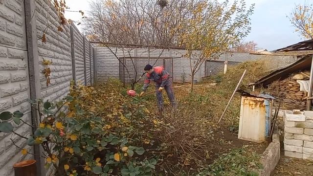 Уборка на заднем дворе(все поросло бурьяном) смотреть онлайн