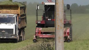 Кормоуборочный Комбайн ПОЛЕСЬЕ квк-800