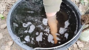 Зарыбление пруда линем