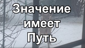 Кратко о важном: Значение имеет Путь