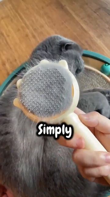 This brush is a must have for cats смотреть онлайн