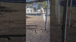 1000037093.mp4