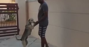 ..... Добрые дела Спасение Животных....