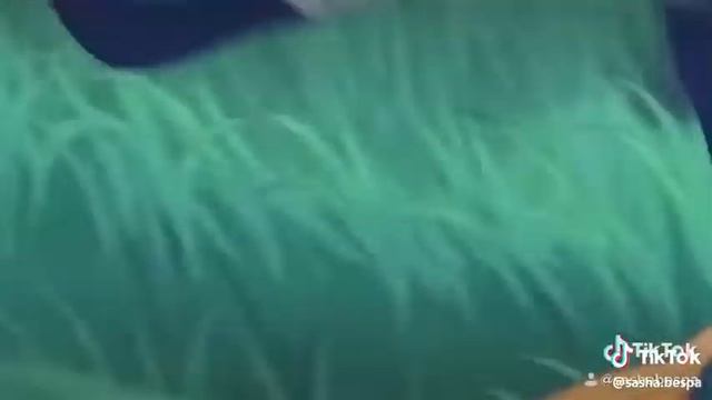 Наруто тик ток видео с тик тока