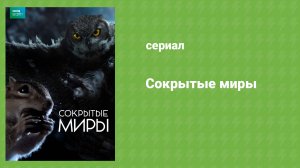 Сокрытые миры 2 серия «Тайные леса» (документальный сериал, 2014)