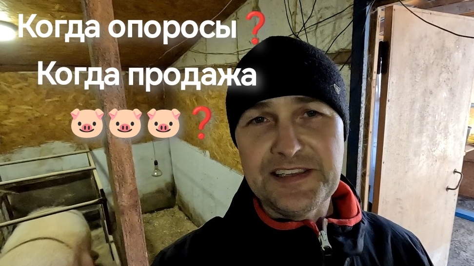Клиенты очень ждут 🐷 - отвечаю на вопросы 😉 Делюсь секретами смотреть онлайн