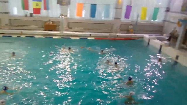 Витебск против Гомеля в витебске смотреть онлайн