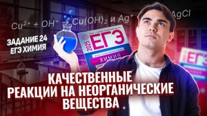 Все качественные реакции на неорганические вещества. Задание 24 ЕГЭ химия