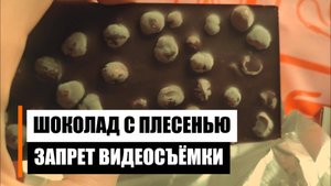 Вернул шоколад с плесенью