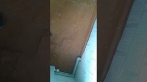 Крутая ручка из скотча