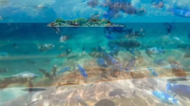 LAGOS смотреть онлайн