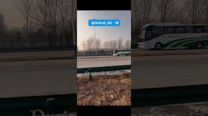 🚌 Автобусы Zhongtong уезжают на тестдрайв!